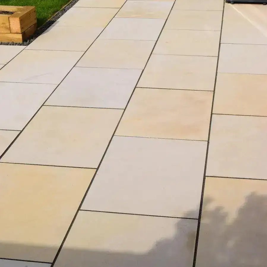 Fossil Mint Indian sandstone